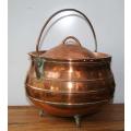 Copper Plated 10 Inch Potjie Pot