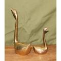 Pair of Brass Swans with Extended Necks