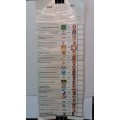 South Africa 1994 Ballot paper National * Laminated for protection*