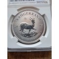 DISCOUNTED! NGC SILVER 1 OZ KRUGER RAND NGC GRADED SP69 50 th anniversary 2017