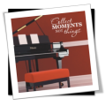 Vinyl Decals Wall Art Stickers - Collect Moments