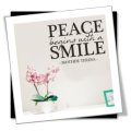Vinyl Decals Wall Art Stickers - Peace Begins With A Smile