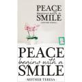 Vinyl Decals Wall Art Stickers - Peace Begins With A Smile