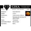 G.I.S.A. CERTIFIED 2.00CT OPAL - AAA GRADE ! Vivid Multi-Colour Play of Fire