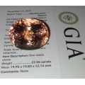 22.26Ct Morganite ( GIA certified )