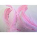 Poultry Feathers, Pink, 50mm - 80mm, 4pc