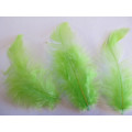 Poultry Feathers, Bright Green, 50mm - 80mm, 4pc