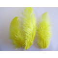 Poultry Feathers, Yellow, 50mm - 80mm, 4pc
