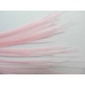 Stringing Material, Gut, Pink, 60cm / 10 pc
