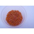 Glass Beads, Seedbeads, Orange, 13gr, 6/0