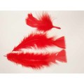 Feathers, Poultry Feathers, Red, 70mm - 140mm, 4pc
