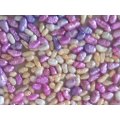 Freshwater Pearls, Uneven Rice ±4mm - ±8mm, Pink-White-Purple-Peach Mix, ±40pc