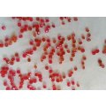 Rhinestones, Pointed, Red, Mixed Sizes, ±50pc