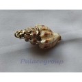 Pendant, Shell Pendant - SA Snail Shell - Cream With Shades Of Brown And Gold Colour Trimming