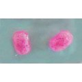Earrings,Rounded Rectangle, Pink, Stud, 11mm x 7mm, Handmade Resin Product, Unique