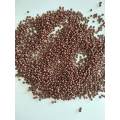 Glass Beads, Seedbeads, Brown, 11/0, 13gr