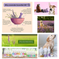 Pannatural Pets Natural Pet Detangler Perfume Spray Calming Touch - Lavender - 245ml