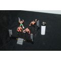 MiniWresting Figures with Ring