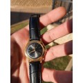 Gorgeous Vintage Delfin automatic watch - RESTORED