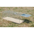 MOUSE TRAP HUMANE CATCH N RELEASE - 24 X 10 X 10CM