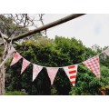 Colourful bunting with 11 flags