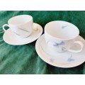 Arzberg teacup duos x 2 - quality porcelain - in good condition