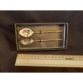 Vintage Set Two tea spoons Gold tone  Enamel Clasonne Butterfly and Hibiscus collection