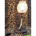 Glass shade  Warthog Tusk table Lamp with Wooden Stand