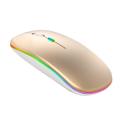 DW Rechargeable RGB LED Wireless Optical Mouse - Gold