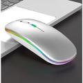 DW Rechargeable RGB LED Wireless Optical Mouse - Silver