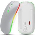 DW Rechargeable RGB LED Wireless Optical Mouse - Silver