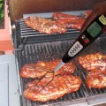 PROFESSIONAL BBQ FORK WITH LCD