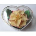 Beautiful Rose that will never die -Soap in a Heart  Plastic Box