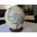 Ostrich Egg