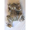 Silver and Marcasite big ` FROG ` Brooch