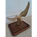 STUNNING MOUNTED SOLID BRASS EAGLE! *LOVELY PIECE*