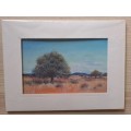 C Schneider - Tree in Bushveld - Oil on canvas taped to card - 13 cm x 18.5cm