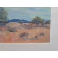 C Schneider - Tree in Bushveld - Oil on canvas taped to card - 13 cm x 18.5cm