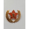 SADF 5 Year volunteer badge