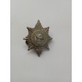 Worcestershire Regiment collar badge