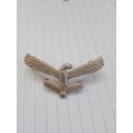 South African Airforce badge