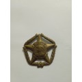 SA Army Forward/Voorwaarts badge