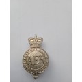 Army Emergency Reserve badge/pin