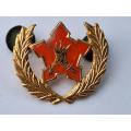 SADF 5 Year volunteer badge