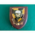 1 PARA PLAQUE - NOT FITTED TO BASE YET - TO ALLOW DISPLAY SEPARATELY ON A BOARD - PINS INTACT