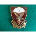 1 PARA 'PARABAT' PLAQUE-NOT FITTED TO BASE YET-TO ALLOW DISPLAY ON A BOARD - ALL PINS INTACT