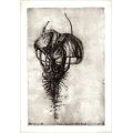 Original Symbolist Art `Spermatozoa` by SA Surrealist Ras Steyn - ETCHING 2/2