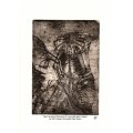 Original Artworks : Arachnid Charisma by SA Artist Ras Steyn - 150mmx210mm Etching on Fabriano 3/3