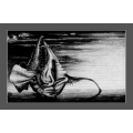 Abstract Surrealism: `Lonely Crustacean Oracle` by Notorious SA Artist Ras Steyn - Original Drawing