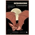 INTRODUCING Consciousness - David Papineau and Howard Selina - Icon Books - LIKE NEW *